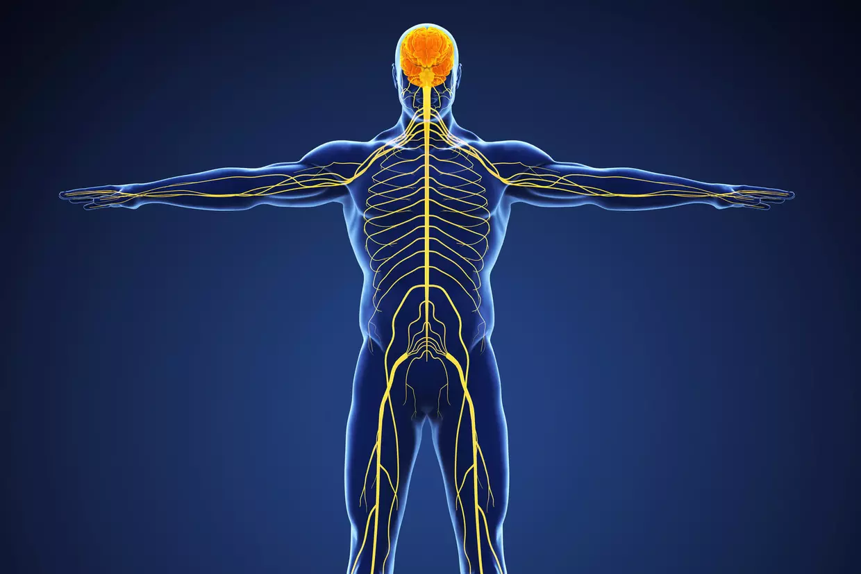 Neuropathie