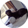 logo profil google