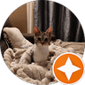 logo profil google